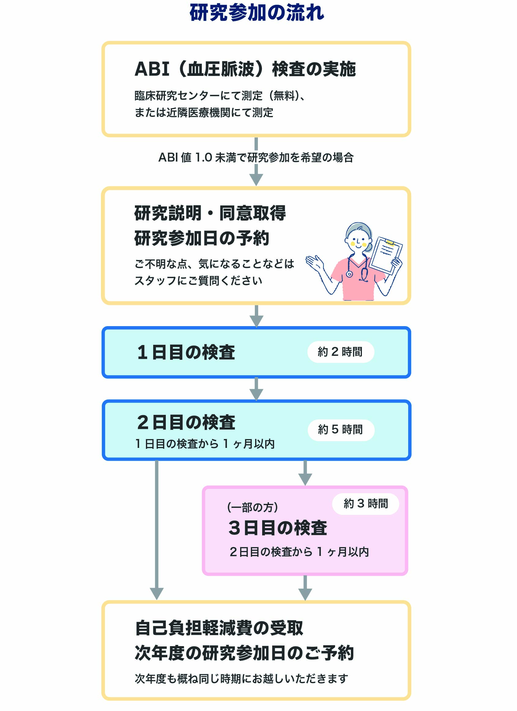 研究の流れ