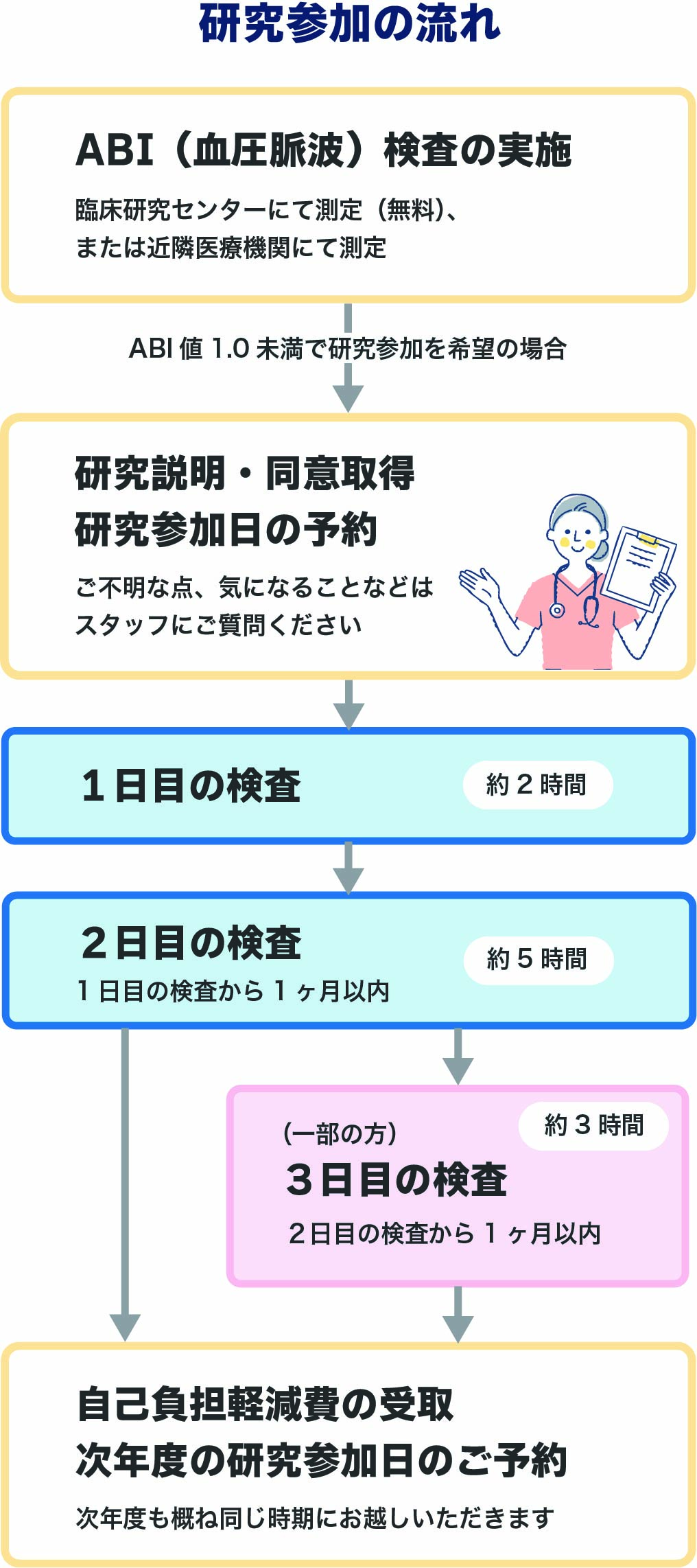 研究の流れ